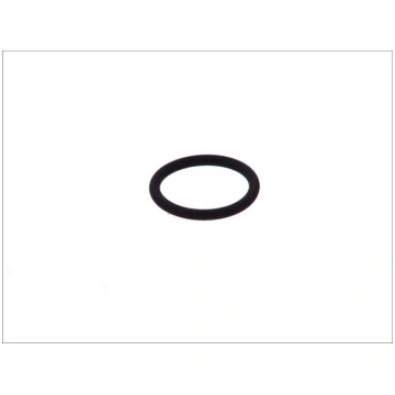 BOSCH Blīvgredzens F 00R J00 534
