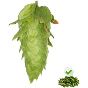 Cascade hops - 200 g