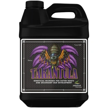 4L Amnesia.lt
