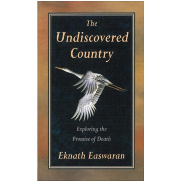 The Undiscovered Country: Exploring the Promise of