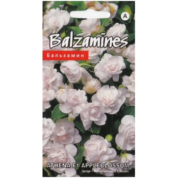Balzamīnes athena f1 appleblossom Kurzemes sēklas