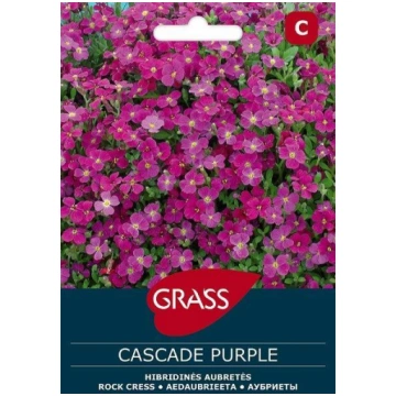 Aubreču sēklas CASCADE PURPLE, 0,1 g