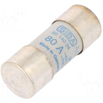 Fuse: fuse | gRL,gS | 80A | 690VAC | ceramic,cylin