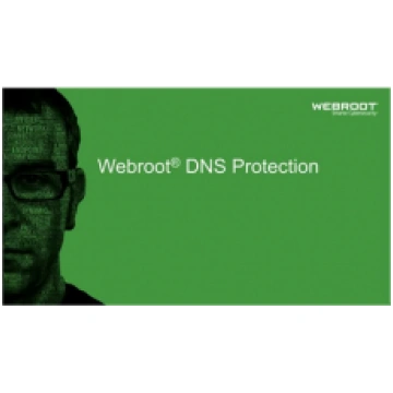 Webroot DNS Protection with GSM Console, 1 year(s)
