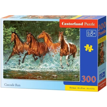 Castorland Puzzle Cascade Run 298933 (590443803036