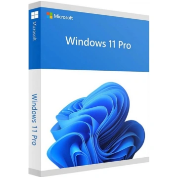 Microsoft Windows 11 Pro ENG Intl USB FPP HAV-0016