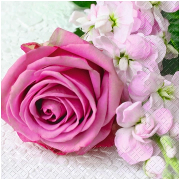 Salvetes Vanessa 25x25cm - 2573621128 STEWO