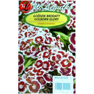 Studentu neļķes Holborn Glory 0.5 g W.Legutko