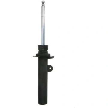 Amortizators MAGNUM TECHNOLOGY AGB110MT