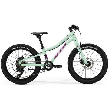 Bērnu velosipēds Merida Matts J.20+ I3, matēta pip