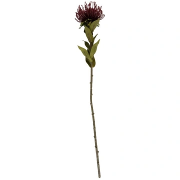 Mākslīgais augs (augstums 60 cm) Protea – PT LIVIN