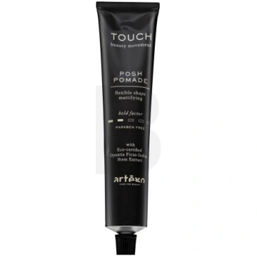 Artègo Touch Posh Pomade Flexible Shape Mattifying