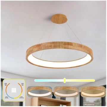 Brilagi - LED lustra uz troses FALCON WOOD MODERN 