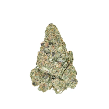 Tangerine CBD Premium - NxS - 10g