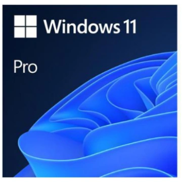 MICROSOFT Windows 11 Pro 64-bit English Internatio