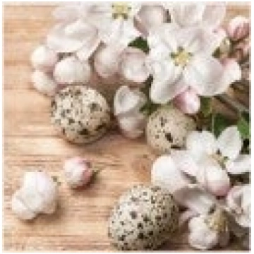 Salvetes Lieldienas Quail Eggs with Apple 1pac DĀR