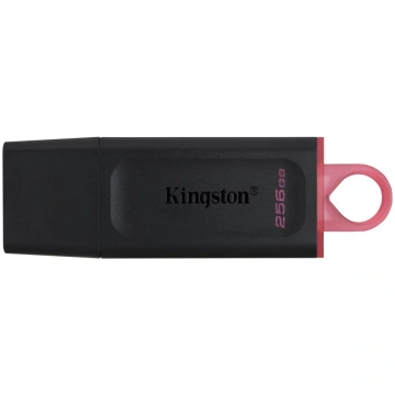 Kingston USB zibatmiņa DTX/256GB MEMORY DRIVE FLAS