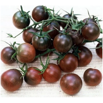 BLACK CHERRY F1