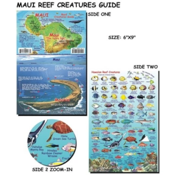 Hawaii - Maui - Franko Fish Card