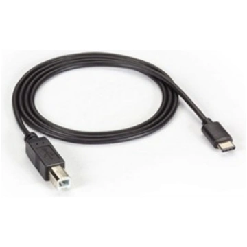 BLACKBOX USB 3.1 CABLE - TYPE C MALE TO USB 2.0 TY