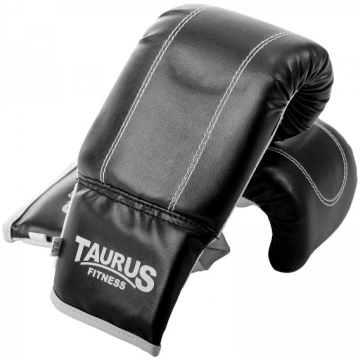 Taurus Punch bag training
