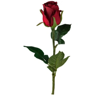 Roze 50cm sarkana