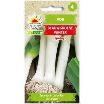 Sēklas Puravi Blauwgroene Winter (Alaska) 1g DE800