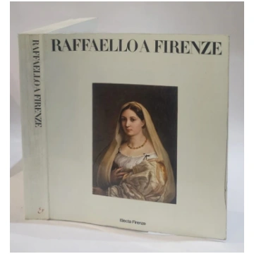 Raffaello a Firenze. Dipinti e disegni delle colle