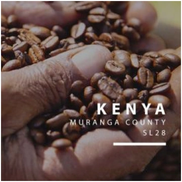 Kenija/Kenya Marumi AA, kafija 1 kg