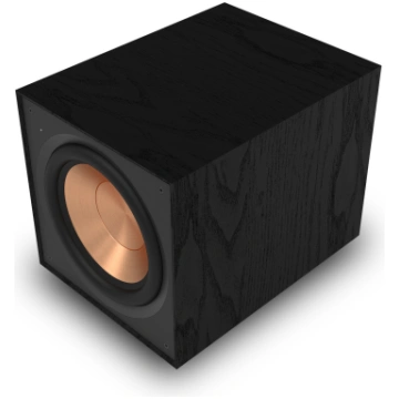 Klipsch R-101SW Subwoofer