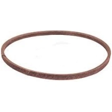 Siksna 16,7x895,35mm Cub Cadet 714TF