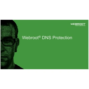 Webroot | DNS Protection with GSM Console | 2 year
