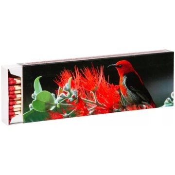 Sērkociņi FLAMAX 1318636 20cm 55 gab. kastītē (131