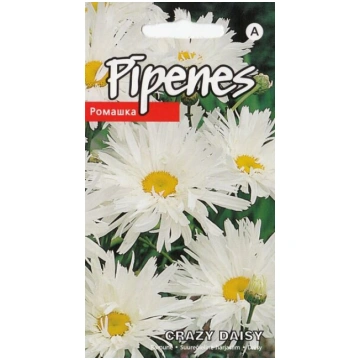 Pīpenes crazy daisy Kurzemes sēklas