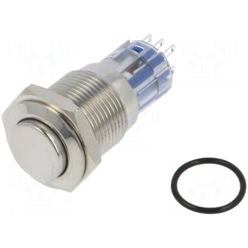 Switch: vandal resistant | DPDT | 3A/250VAC | IP67