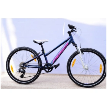 Merida matts J24