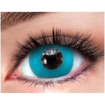 Turquoise 1-Day
