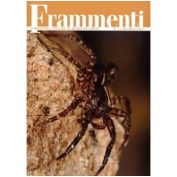 Frammenti n.12 - Dicembre 2022